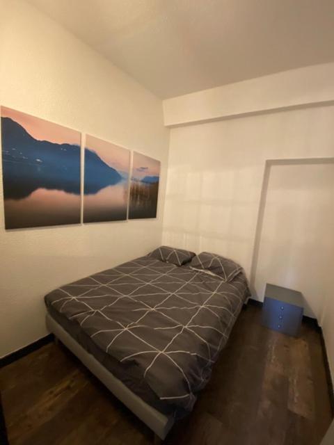 En Coeur De Ville Chambery Ngoại thất bức ảnh